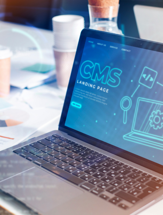 Custom CMS Development